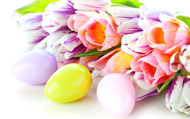 Easter Backgrounds 1.