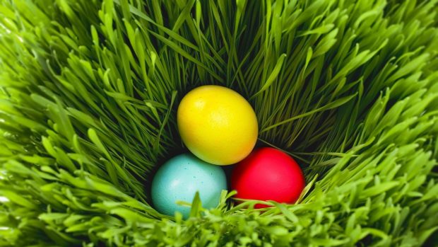 Easter Desktop Wallpapers HD 5.