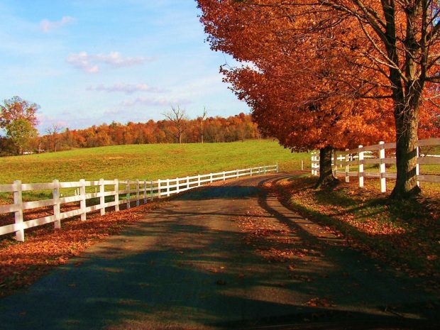 Fall Country image wallpaper 4.
