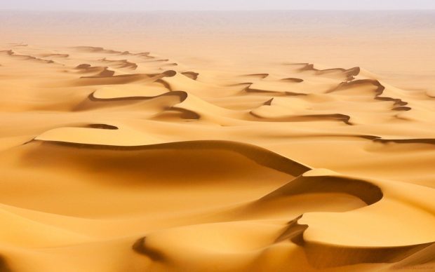 Fall Nature Desert Image.