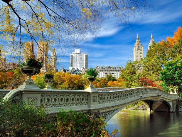 Fall in the Central Park.