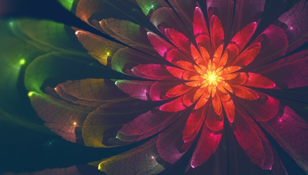Fractal Flower 4k HD Abstract Wallpapers.