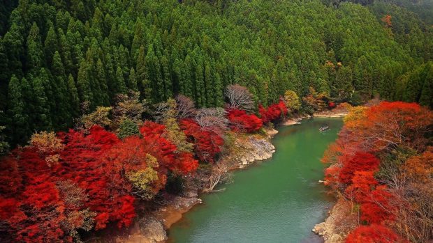 Free Autumn wallpaper featuring a river surrounded by red trees.