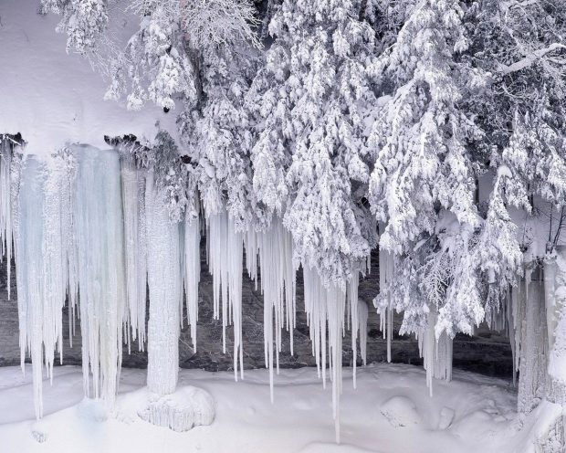 Free Download Winter WonderLand Background.