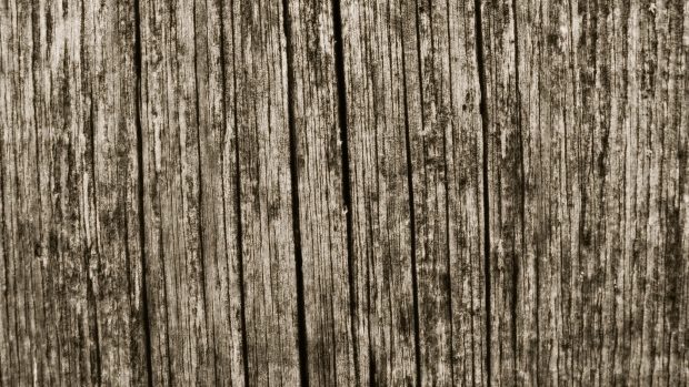 Free Download Wood Grain Wallpapers 1.