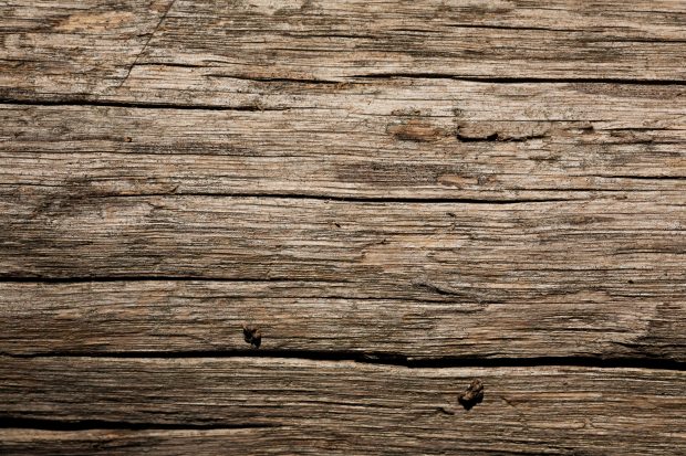 Free Download Wood Grain Wallpapers 4.