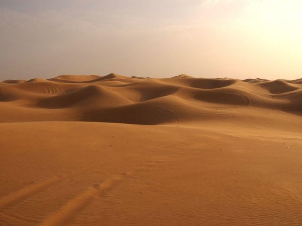 Free Sahara Desert Wallpapers.