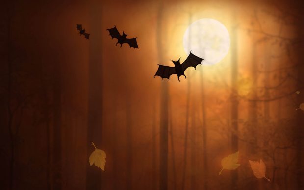 Halloween Backgrounds for Desktop 2.