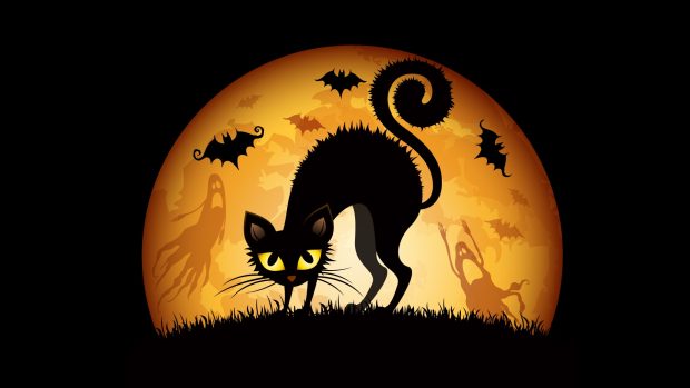 Halloween Cat Backgrounds 3.