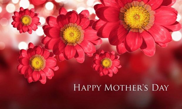 Happy Mothers Day wallpaper with flower.