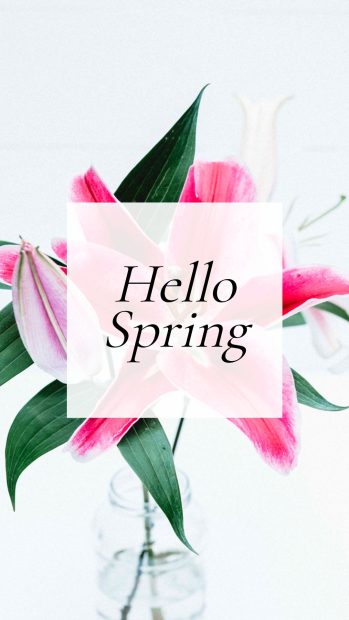 Hello Spring Phone Wallpapers.