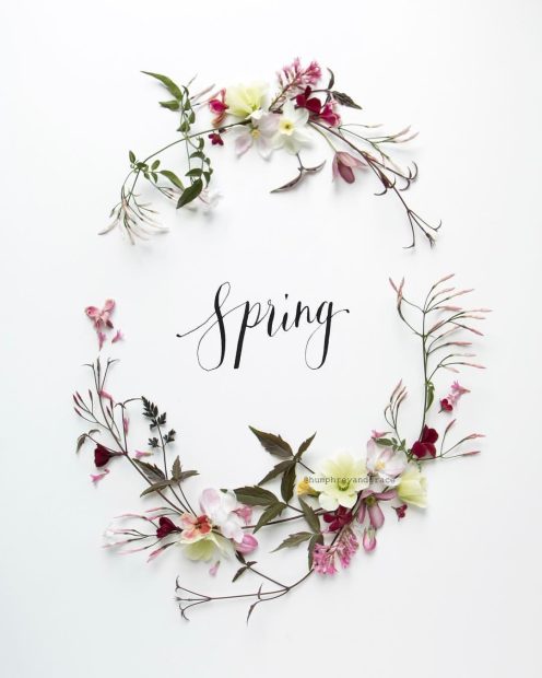 Hello Spring with flowers.