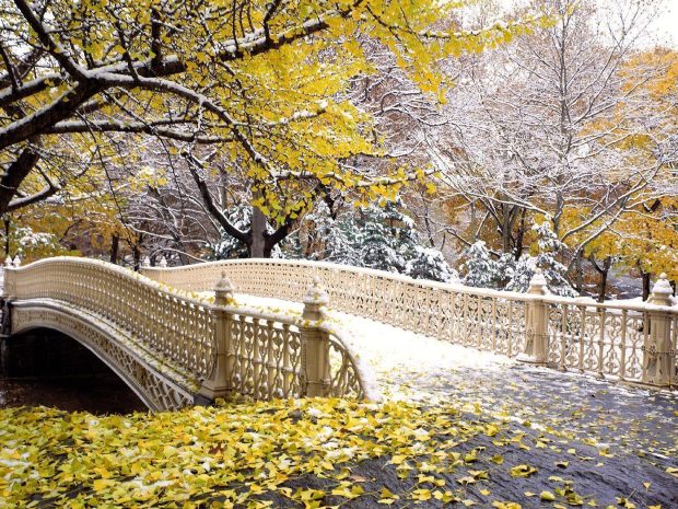 Image For Central Park Winter Wallpapers.