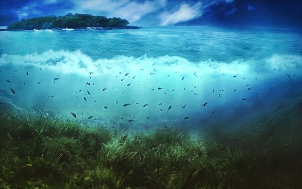 Ocean Underwater HD Wallpaper 3.