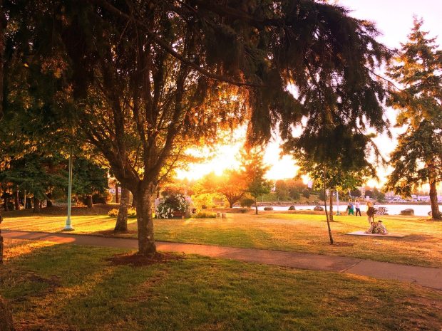 Park Sunset on Summer Solstice Day.