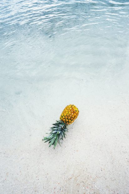 Pineapple Summer Wallpaper Iphone.