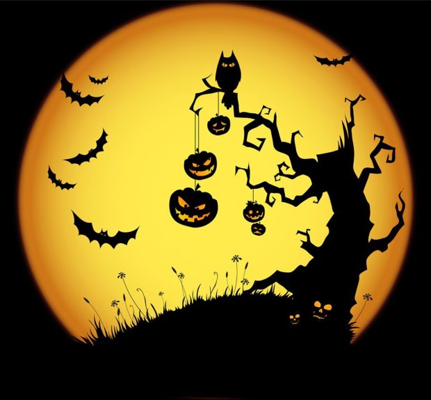 Pumpkin Halloween Background 5.