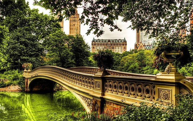 Px Bow Bridge Central Park Wallpapers 1024x768 px Free Download.