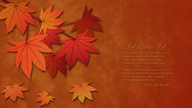 Red leaves Fall image wallpaper 2.