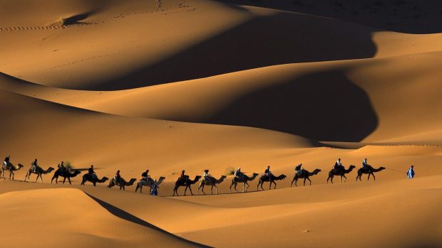 Sahara Desert Wallpapers 3.