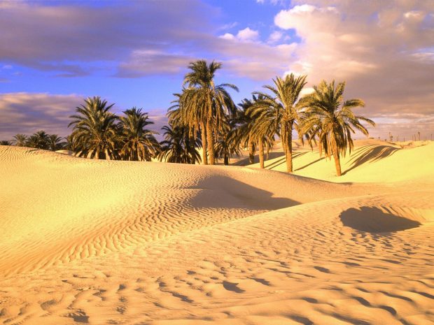 Sahara Desert Wallpapers 7.