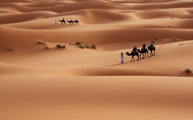 Sahara Wallpapers HD 4.