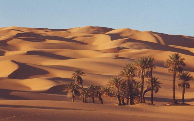 Sahara Wallpapers HD 5.