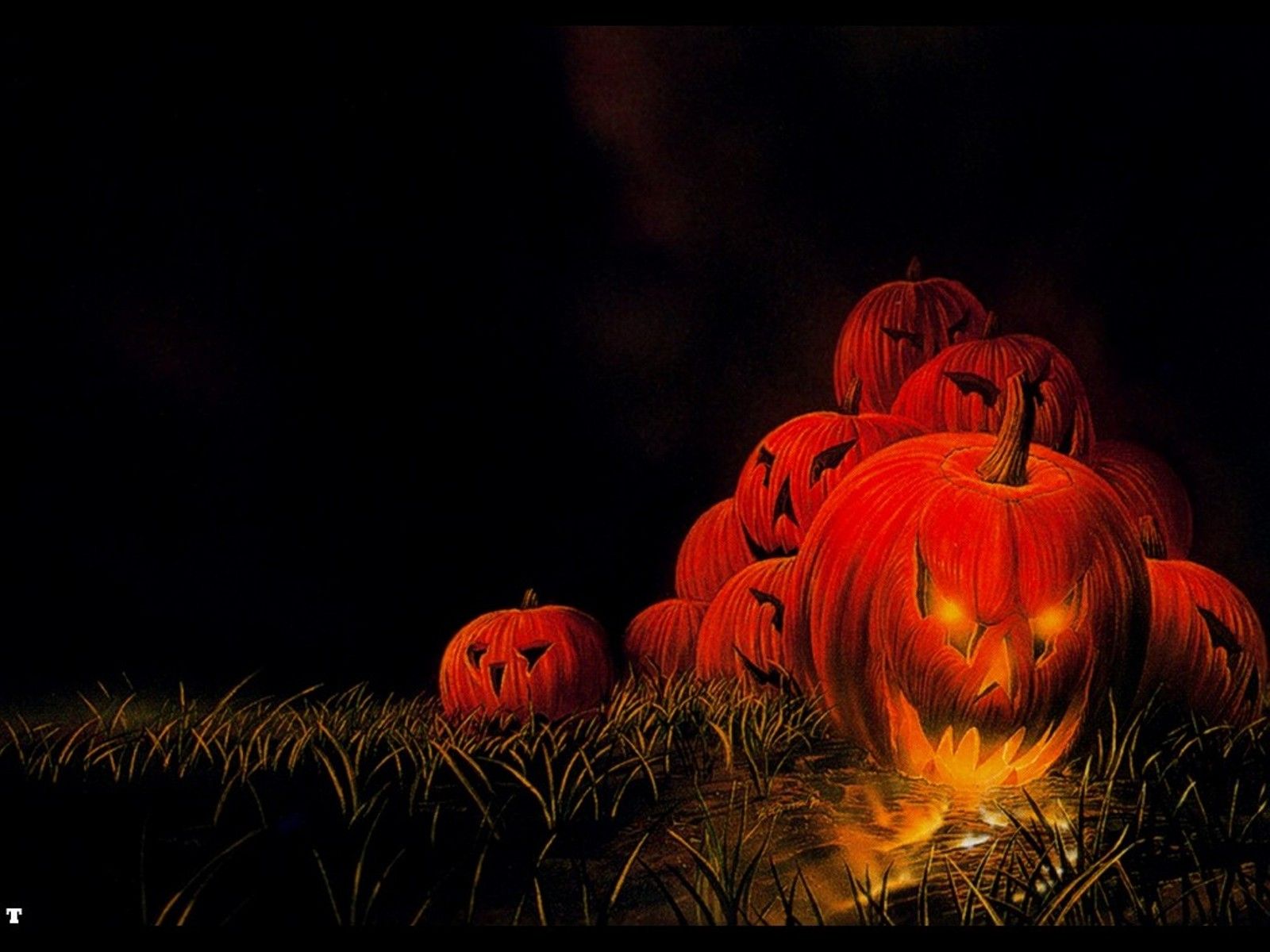 Creepy Halloween Pumpkin and Jack O Lantern pictures