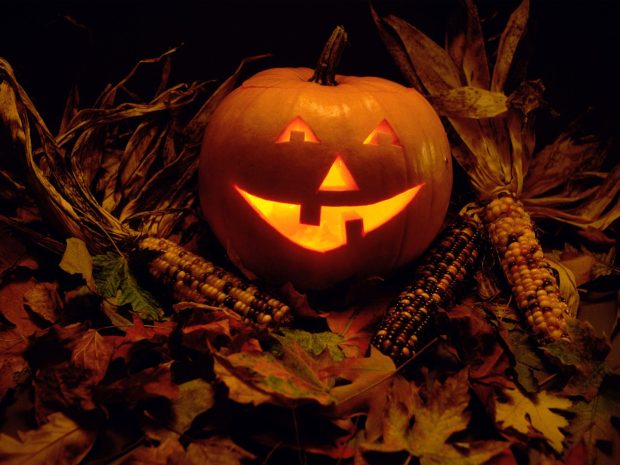 Scary Pumpkin Halloween Wallpapers 3.