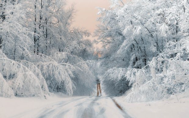 Snow Winter Backgrounds Image.