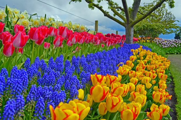 Spring Images Wallpapers 3.