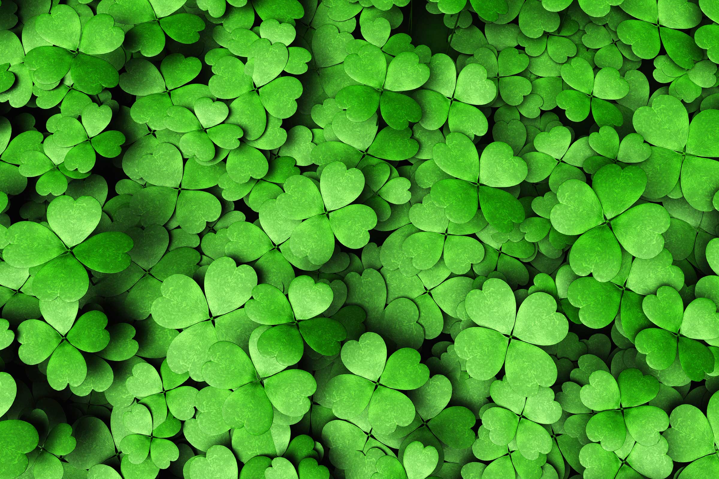 St Patricks Day Shamrock Wallpaper  Gathering Beauty