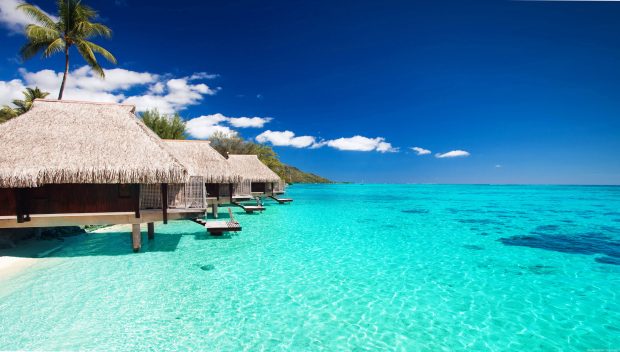 The beach in the Maldives.