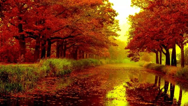 Autumn River HD Wallpaper