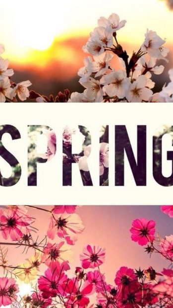 Wallpapers Hello Spring Android.