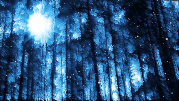 Winter Backgrounds at Night.