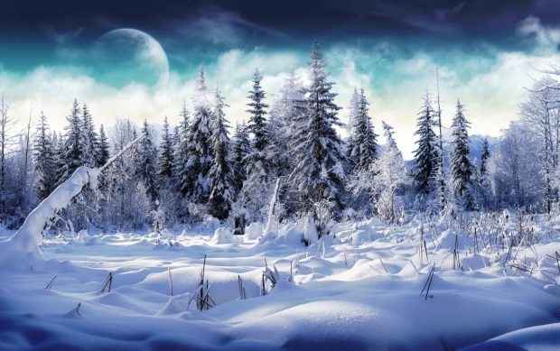 Winter wonderland wallpaper.