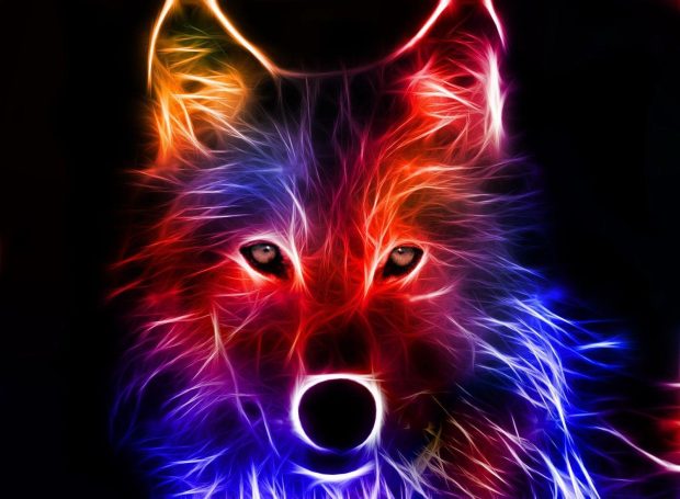 Wolf Cool Wallpaper.