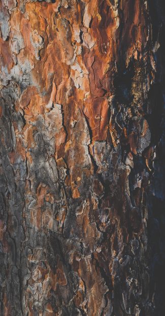 Wooden Wallpaper for iPhone 5.