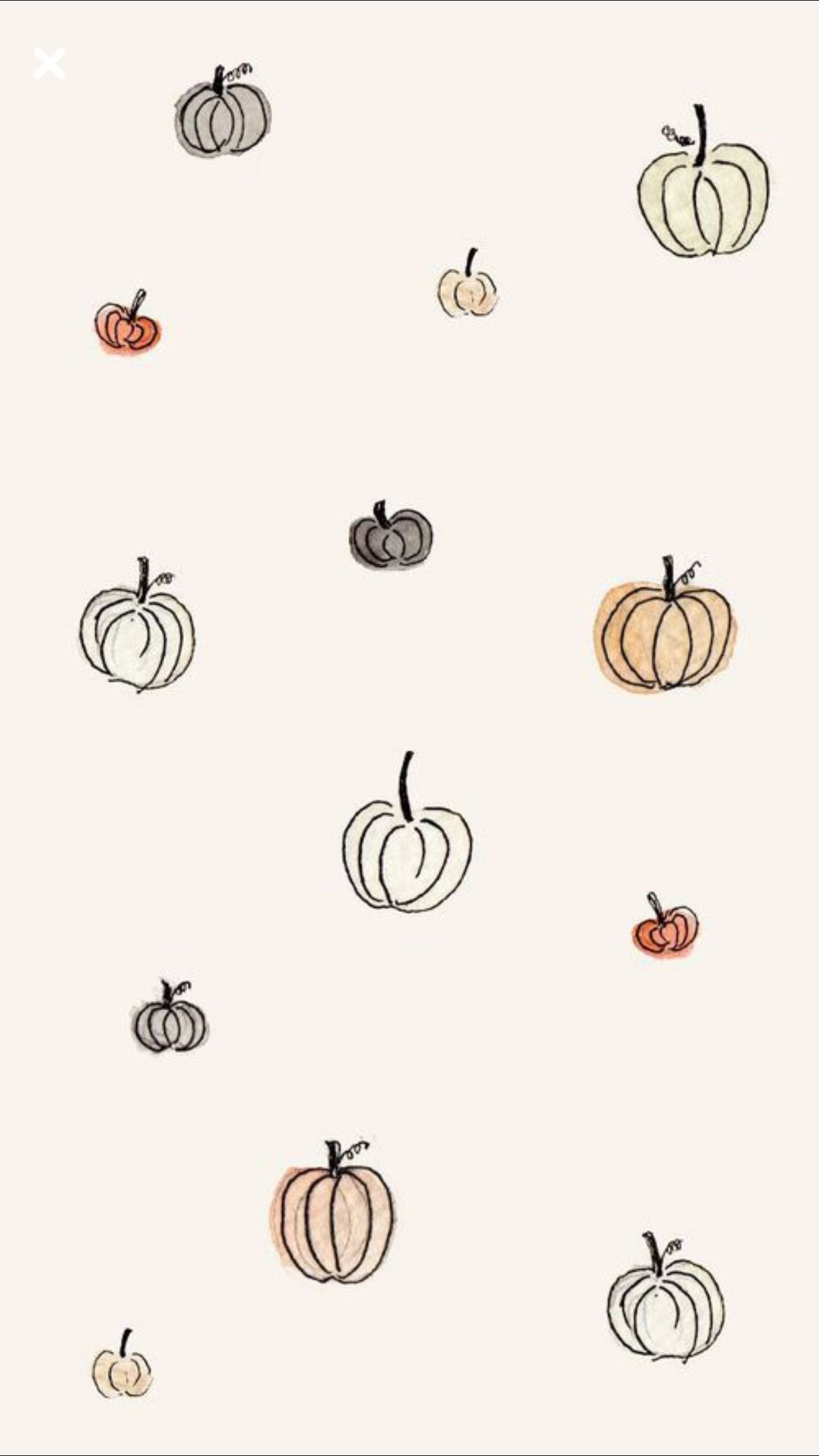 Free download cute fall desktop wallpaper wwwwallpapers in hdcom  1401x1050 for your Desktop Mobile  Tablet  Explore 70 Cute Fall  Wallpaper  Fall Wallpapers Fall Backgrounds Wallpapers Fall