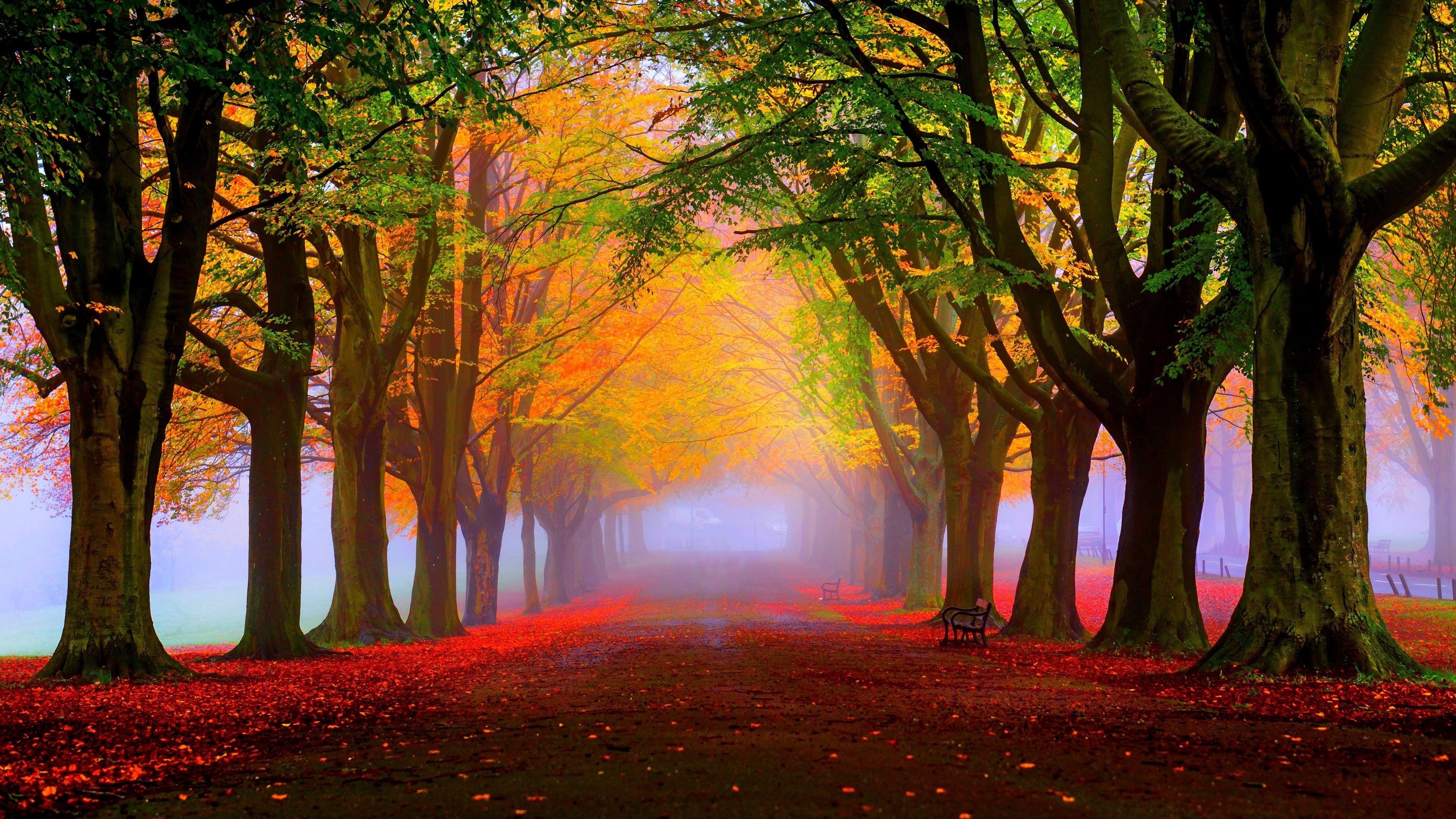 4K Autumn Wallpapers Free Download 