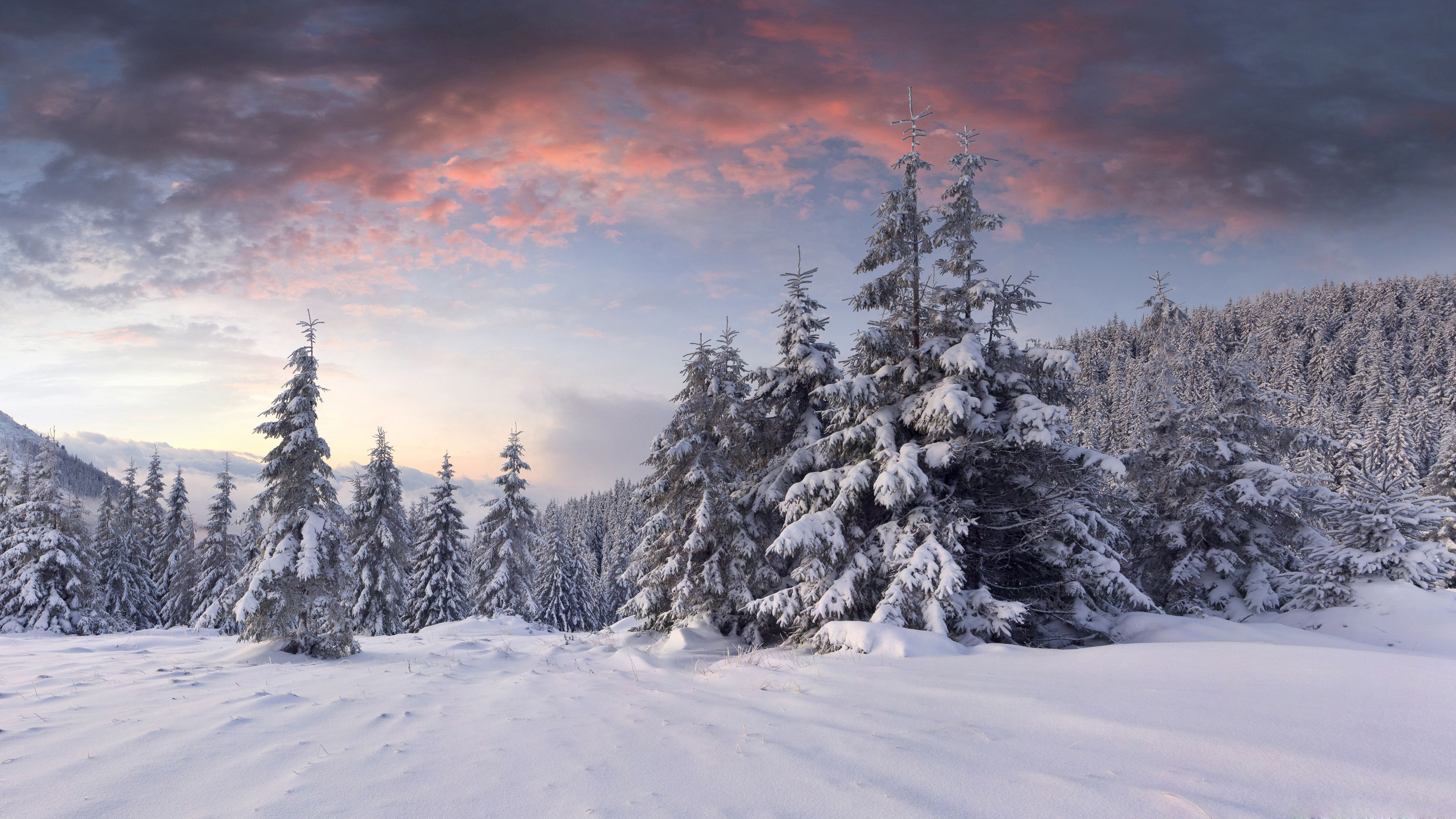 Top 999+ 1920x1080 Hd Winter Desktop Wallpaper Full HD, 4K✓Free