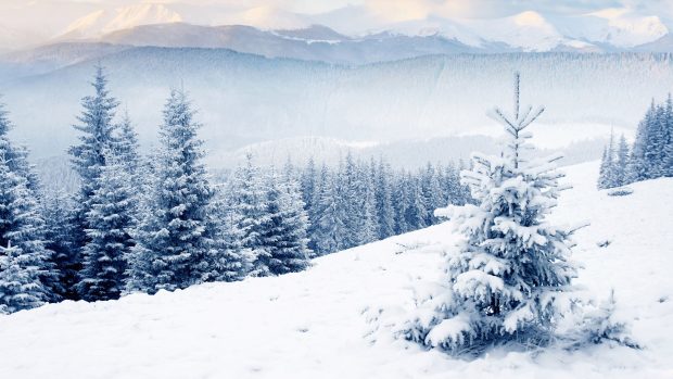 4K Winter Wallpaper HD Free download.