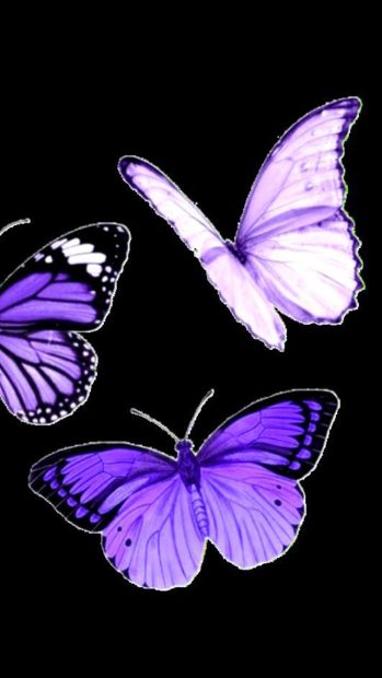 Aesthetic Butterfly Background for Android.