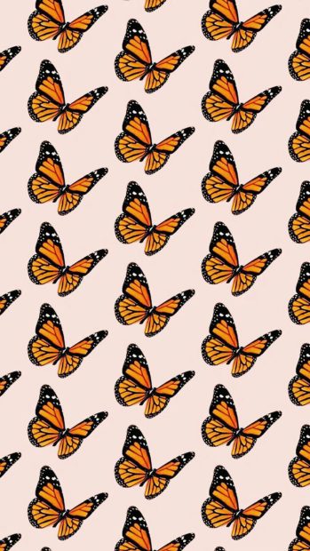 Aesthetic Butterfly Wallpaper 1920x1080.