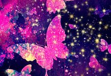 Aesthetic Butterfly Wallpaper HD Free download.