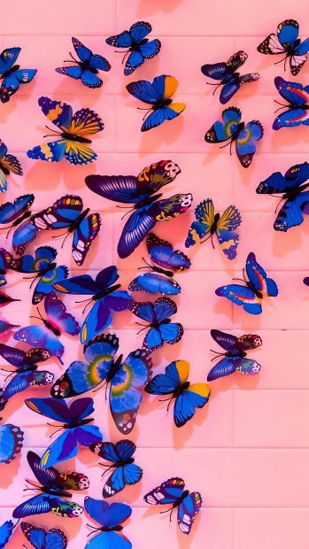 Aesthetic Butterfly Wallpaper High Quality.