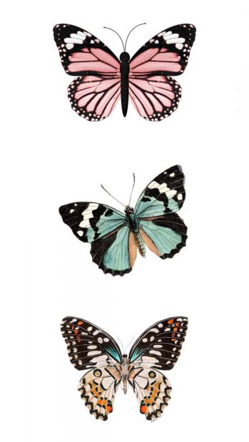 Aesthetic Butterfly Wallpaper for Android.