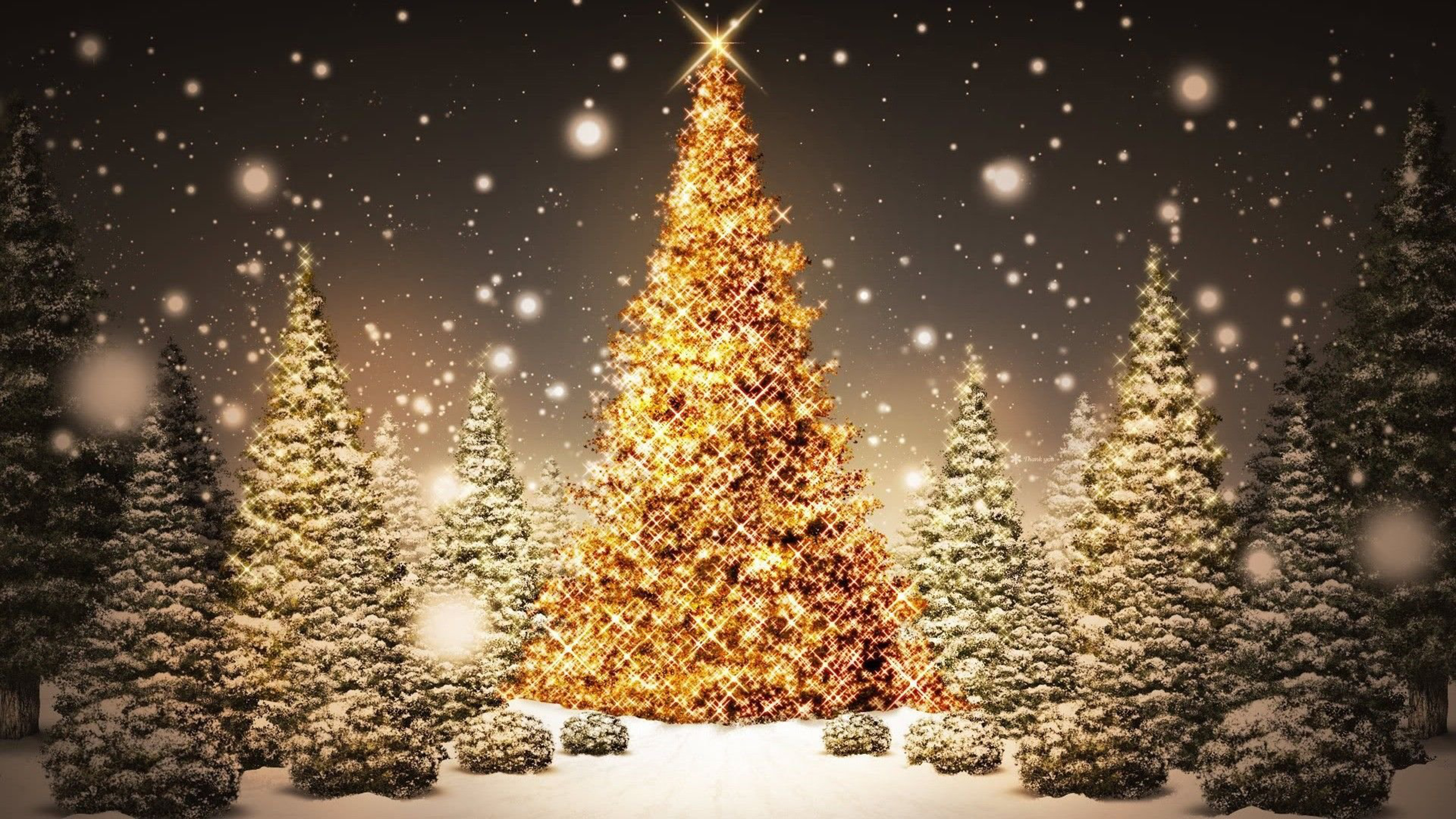 66 Christmas Night Wallpaper  WallpaperSafari