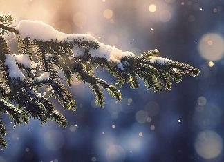 Aesthetic Christmas Backgrounds Free Download.